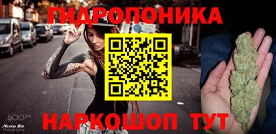 mdpv Рыбинск
