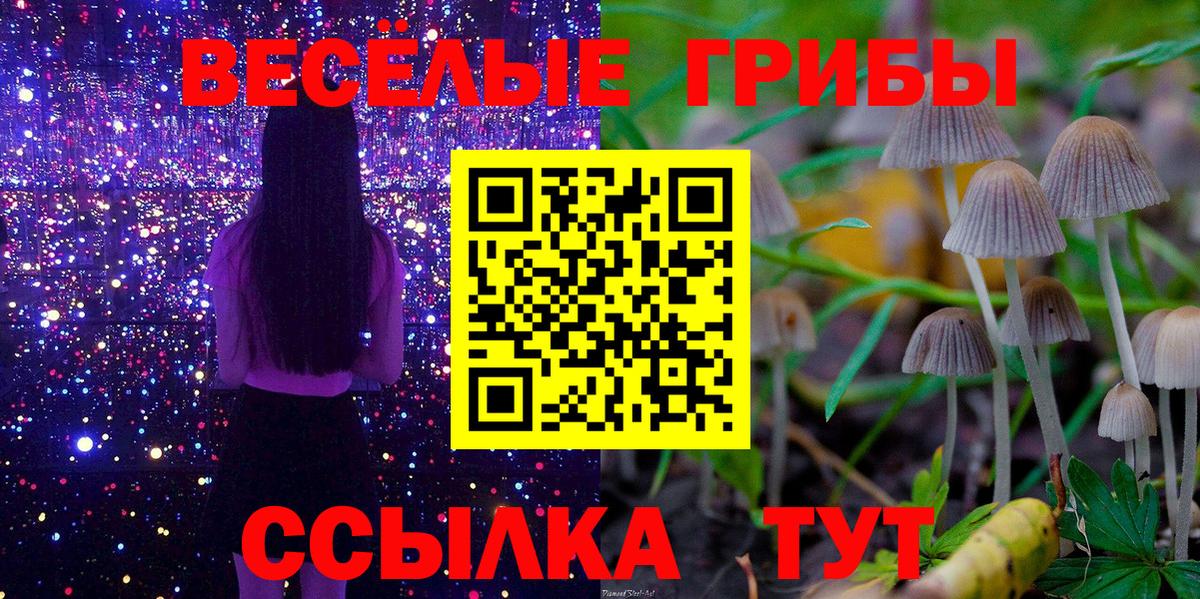 Псилоцибиновые грибы прущие грибы  Вход с VPN  Пыть-Ях 